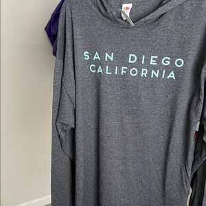 Fruit of the Loom Gray Hoodie with Blue Text